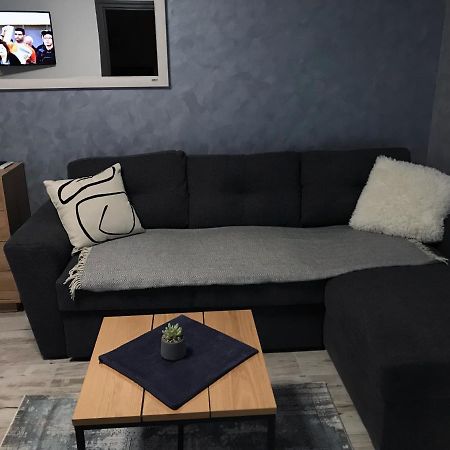 Homely Apartment スチャヴァ エクステリア 写真