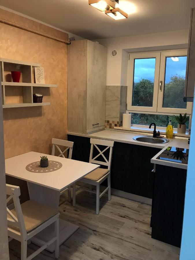 Homely Apartment スチャヴァ エクステリア 写真
