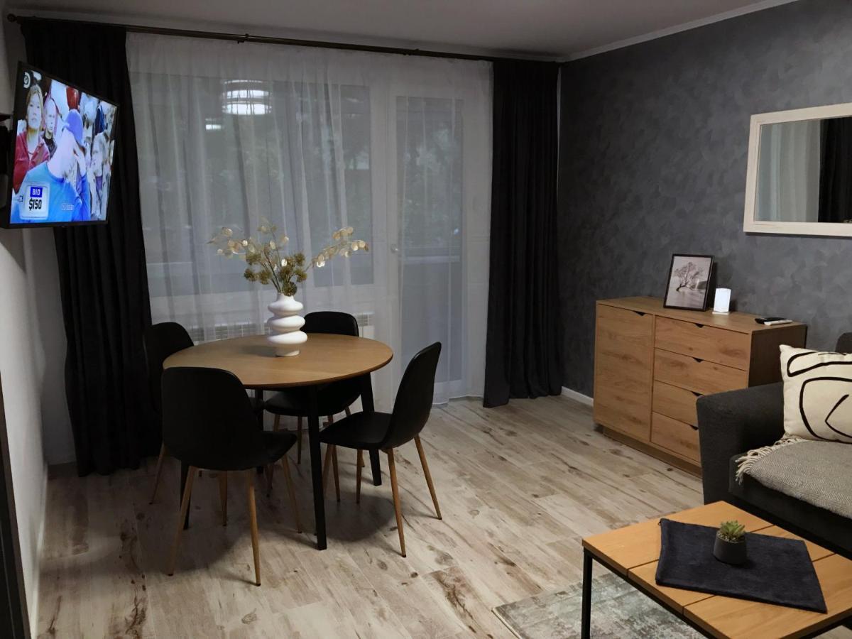 Homely Apartment スチャヴァ エクステリア 写真