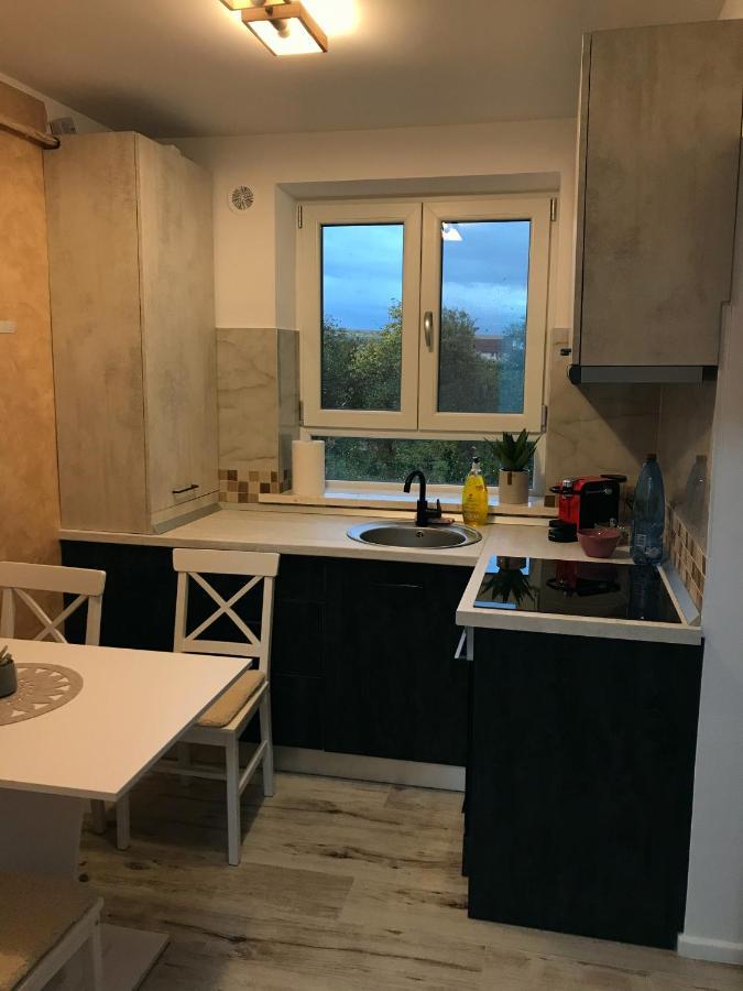 Homely Apartment スチャヴァ エクステリア 写真