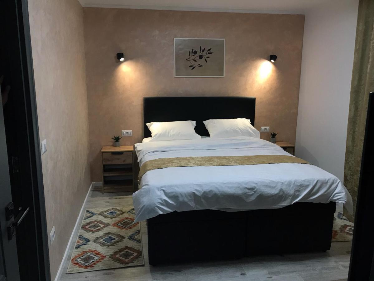 Homely Apartment スチャヴァ エクステリア 写真