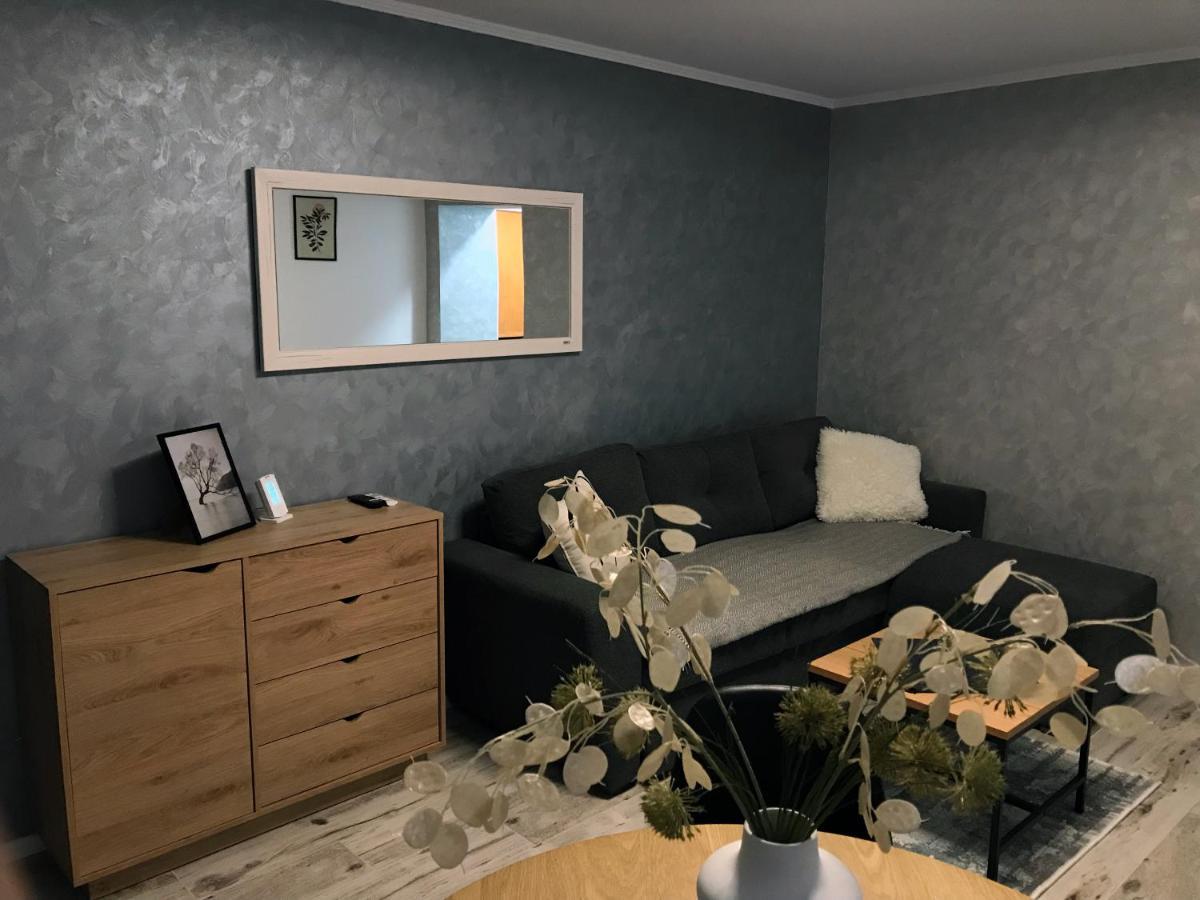 Homely Apartment スチャヴァ エクステリア 写真